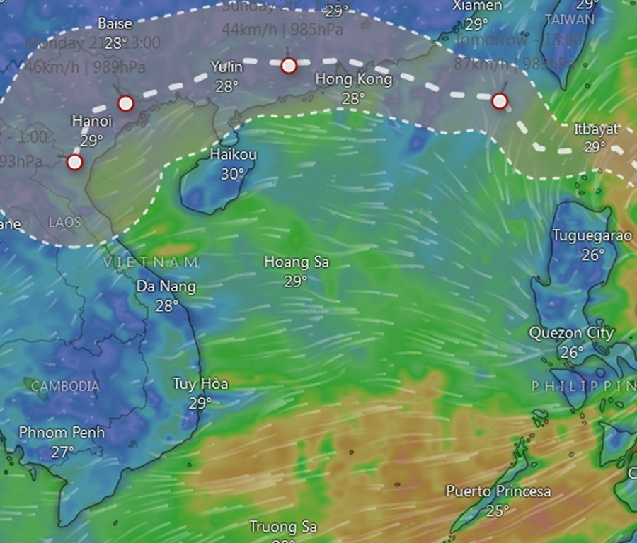 Dự báo của Trung tâm Dự báo thời tiết hạn vừa Châu Âu (ECMWF). Ảnh: Windy, ECMWF. ecmwf.jpg