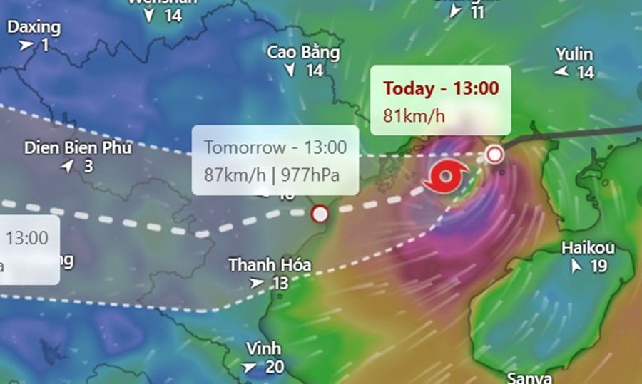Dự báo của ECMWF. Ảnh: Windy, ECMWF. ecmwf-jul21-pm.jpg