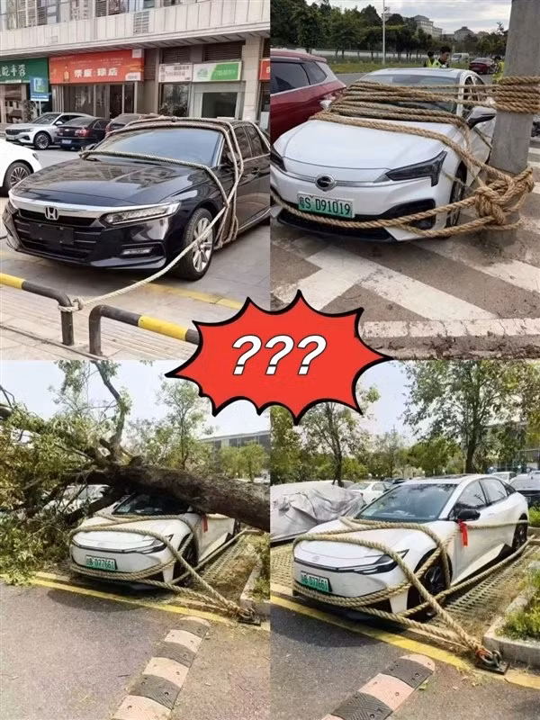 cars.jpg