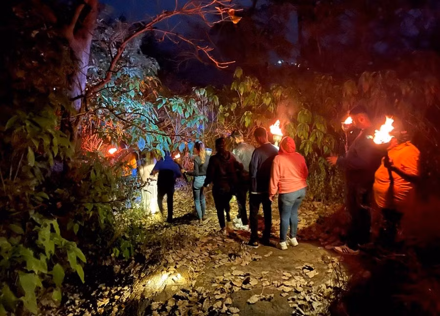 Khung cảnh rừng tối minh họa âm thanh vang xa và khó xác định hướng