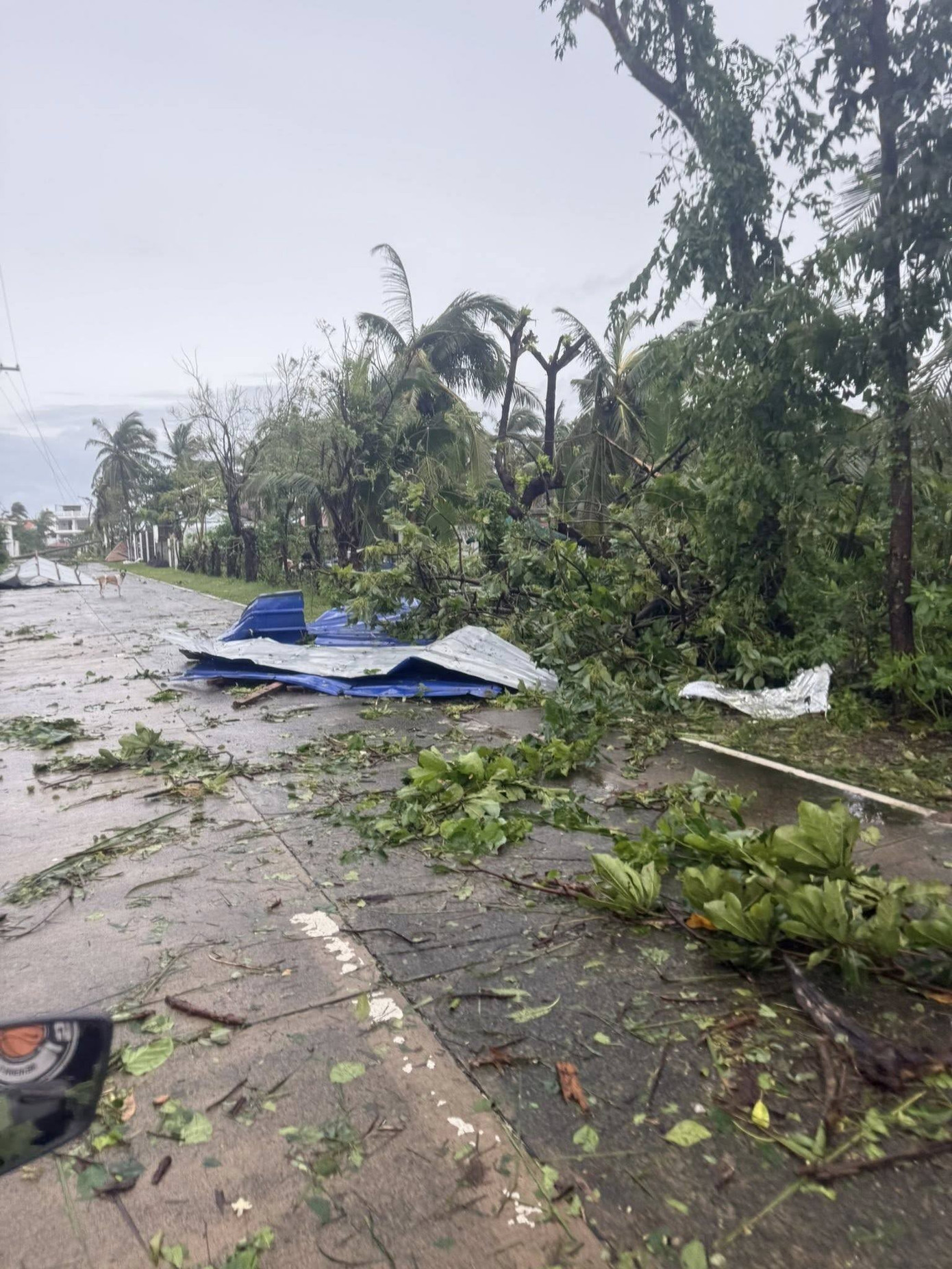 pangasinan-13.jpg