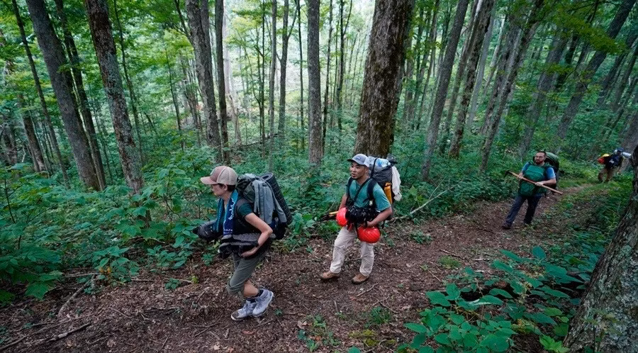 Người đi trekking trong rừng lắng nghe âm thanh xung quanh