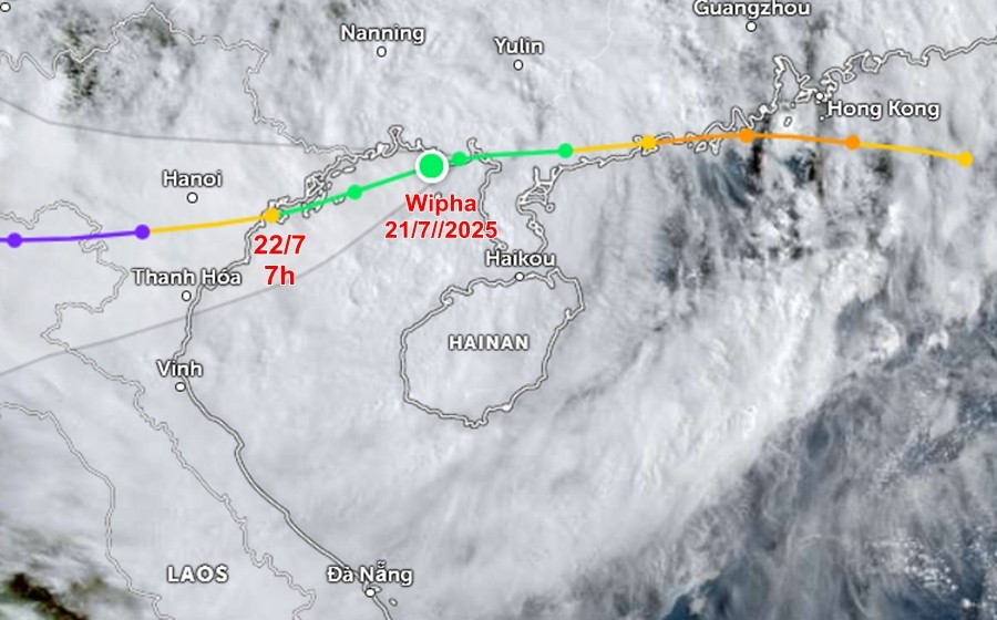 Dự báo đường đi của bão Wipha 2025, theo Trung tâm Cảnh báo Bão Liên hợp (JTWC) của Mỹ. Ảnh: Zoom Earth, JMA/ NOAA/ CIRA, Himawari. jtwc-jul21-1030.jpg