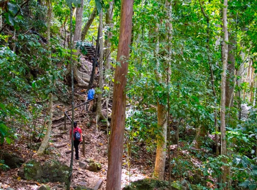La bàn bị nhiễu trong rừng núi do người dùng di chuyển nhiều