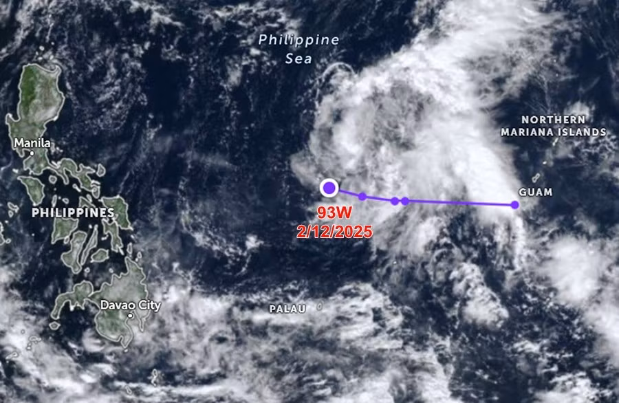 lpa.jpg