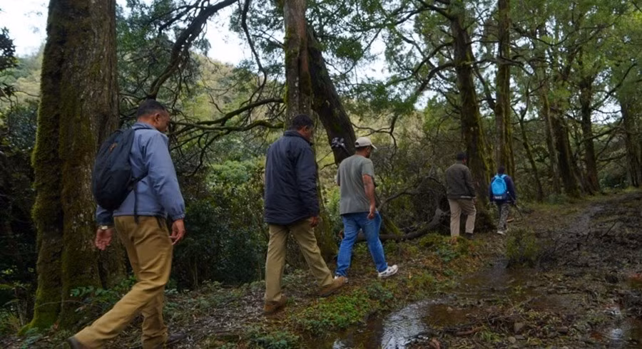 Rừng rậm với tầm nhìn hạn chế khiến người ở gần khó nhìn thấy nhau