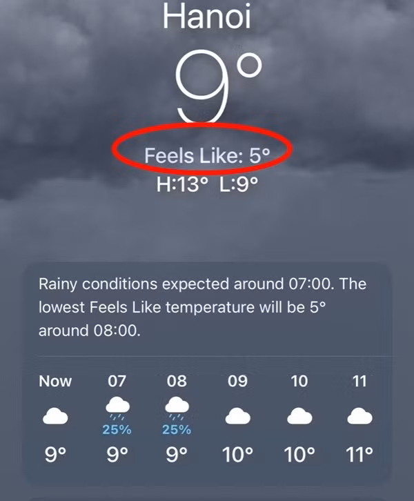 iphone.jpg