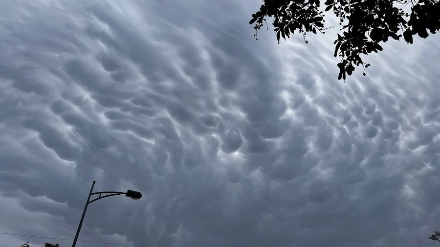 mammatus.jpg