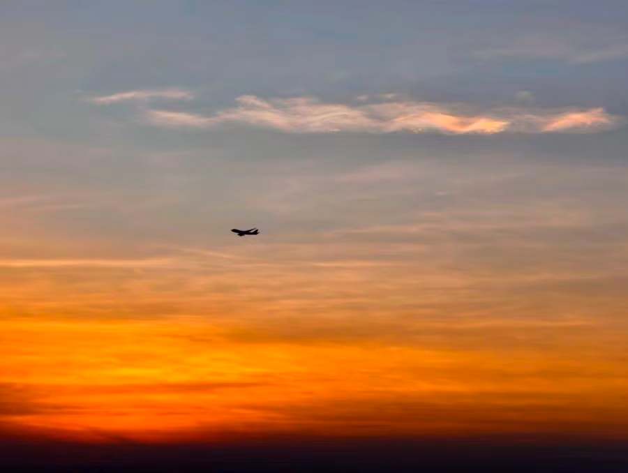 fly-1.jpg