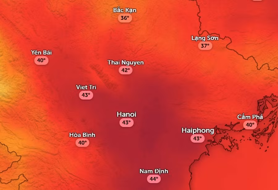 temp-aug8-1200.jpg