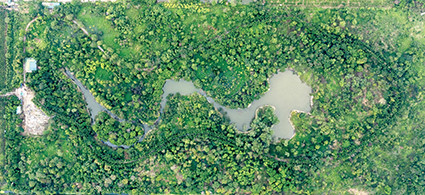 Vườn thực vật nhìn từ trên cao