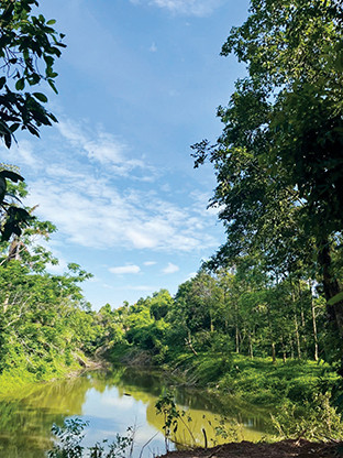 Một góc của hồ nước trong vườn