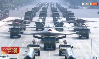 Nhóm thiết bị bay không người lái được giới thiệu trong lễ duyệt binh.