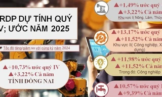 Đồng Nai bứt phá mạnh mẽ, GRDP năm 2025 vượt mục tiêu, khẳng định vai trò đầu tàu kinh tế của vùng và cả nước