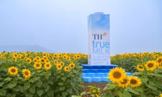 hoa hướng dương