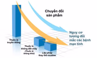 Chính sách thuốc lá không khói toàn cầu: Từ siết chặt đến những điều chỉnh đảo chiều