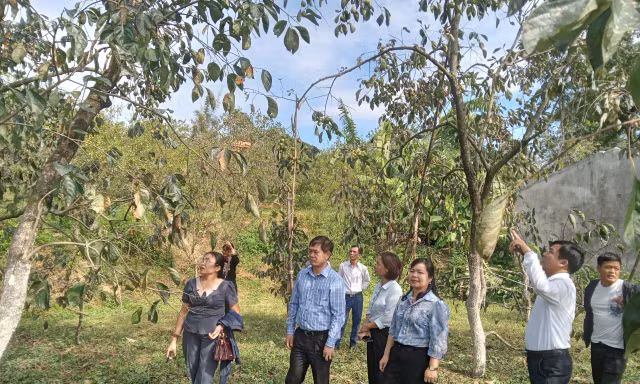 Đồng bào các dân tộc Lạng Sơn được vay vốn ưu đãi phát triển sản xuất. 