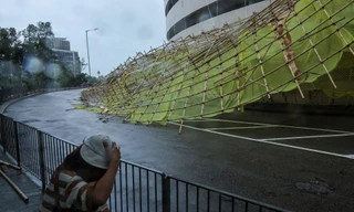 Hàng trăm cây đổ, hàng chục người nhập viện do bão Wipha ở Trung Quốc