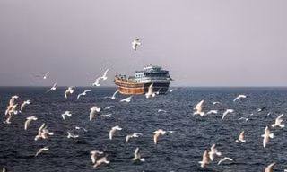 Iran chỉ cho phép tối đa 15 tàu đi qua eo biển Hormuz mỗi ngày