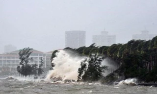 Trung Quốc nâng mức cảnh báo, sơ tán 150.000 người trước khi bão Matmo đổ bộ