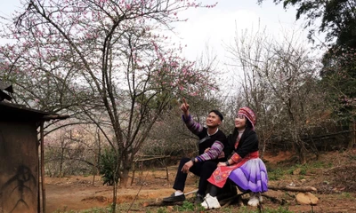 Khách du lịch chụp ảnh lưu niệm tại thôn