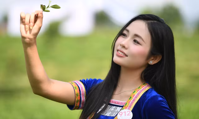 53 thí sinh Hoa hậu Việt Nam đeo gùi hái chè