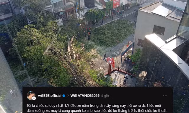 Xe của Anh Tài Will suýt gặp nạn trong vụ cây cổ thụ bật gốc, đổ xuống đường