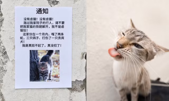 Dân mạng Trung Quốc chia phe tranh cãi vụ chủ xích mèo vì sợ phải đền tiền