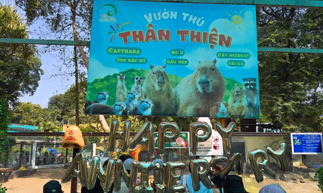 Giới trẻ rủ nhau đến Thảo Cầm Viên mừng kỷ niệm một năm Capybara "debut"