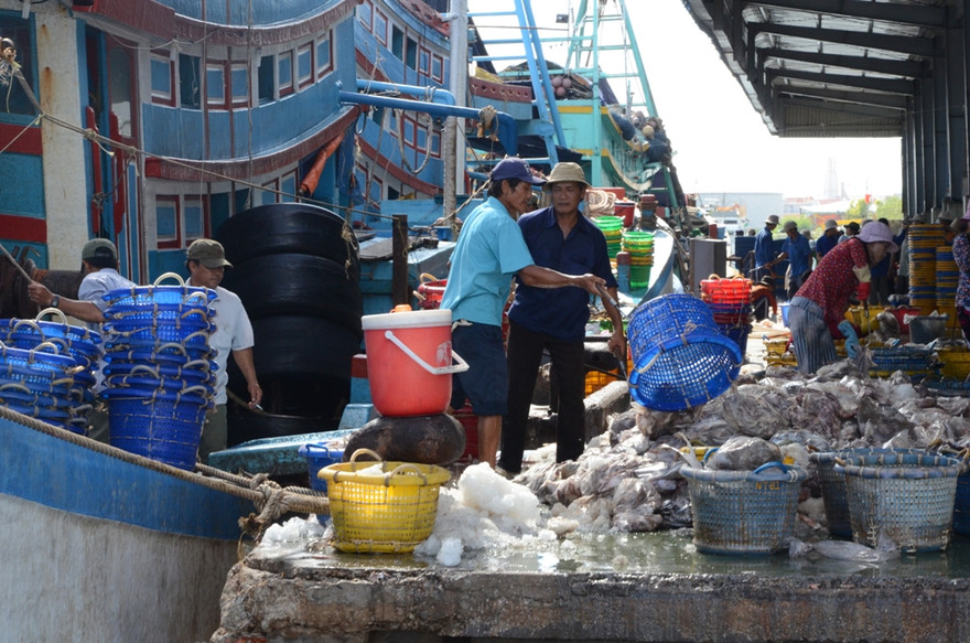 Thu xuất nhập khẩu là một trong những khoản thu giảm thấp của tỉnh Bà Rịa - Vũng Tàu năm 2020 