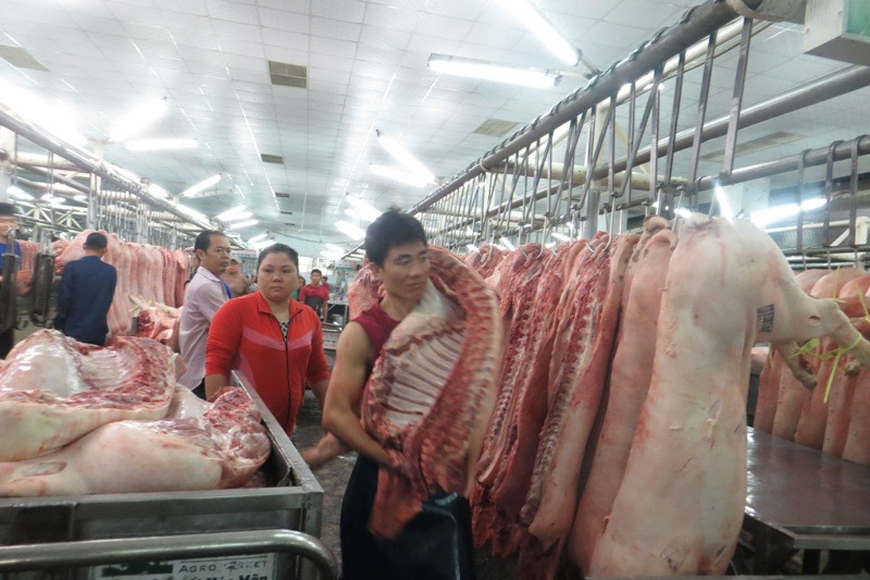 TPHCM sẽ bán thịt heo như... chứng khoán