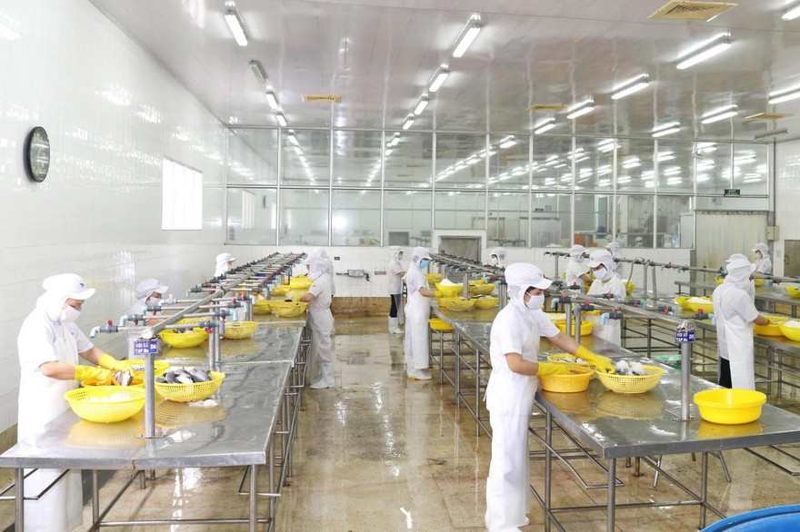 Nhiều doanh nghiệp "đỏ mắt" tìm lao động để phục hồi sản xuất