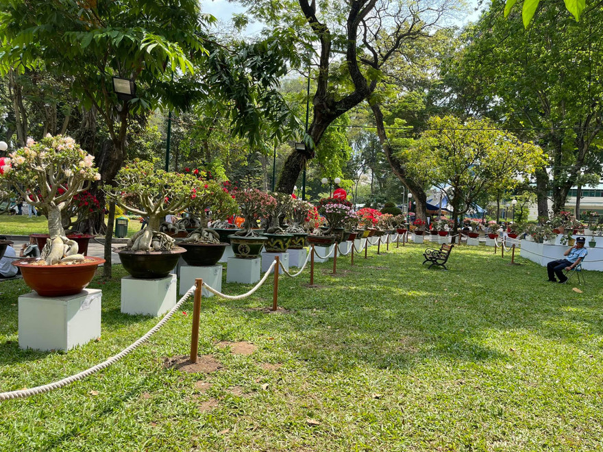 Hội hoa xuân ở công viên Tao Đàn rộng thênh thang, không một bóng khách trong ngày xuân