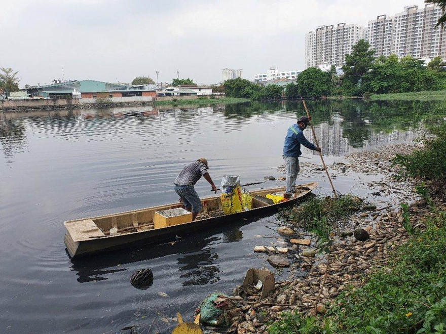 Cá chết đầy sông khu chung cư Ehome 3