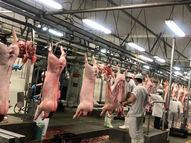 Dây chuyền giết mổ hiện đại tại Vissan (ảnh: U.P)