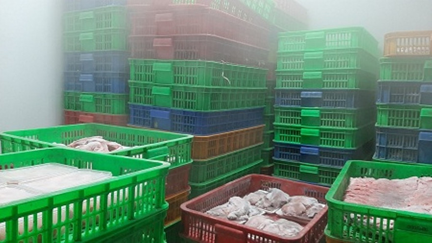 Hàng tấn thịt gia súc, gia cầm không rõ nguồn gốc