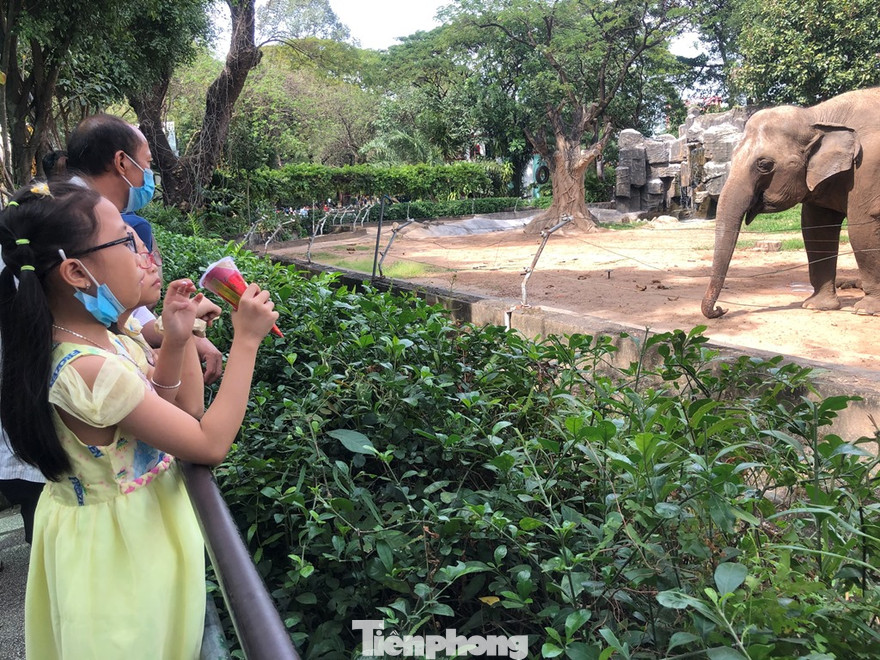 Đến Thảo Cầm Viên vui chơi, người Sài Gòn không dám 'la cà' cả ngày