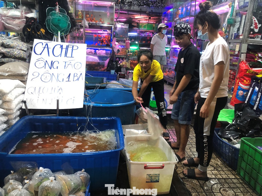 Người TPHCM tranh thủ mua cá chép trước ngày ông Công, ông Táo