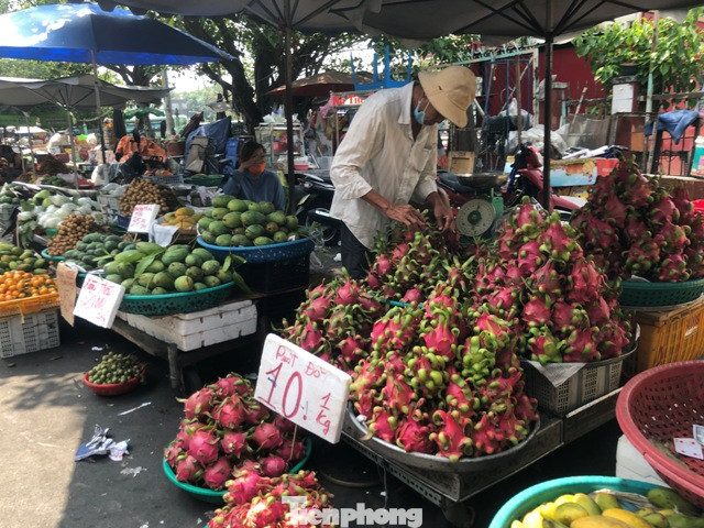 Thanh long ruột đỏ chỉ 10.000 đồng/kg