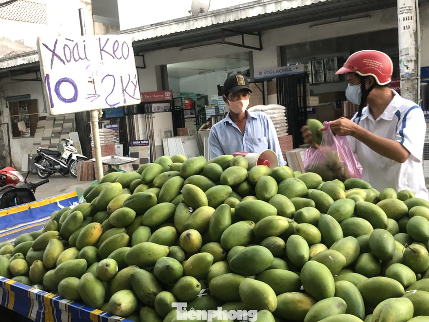 Xoài vào mua, rớt giá 