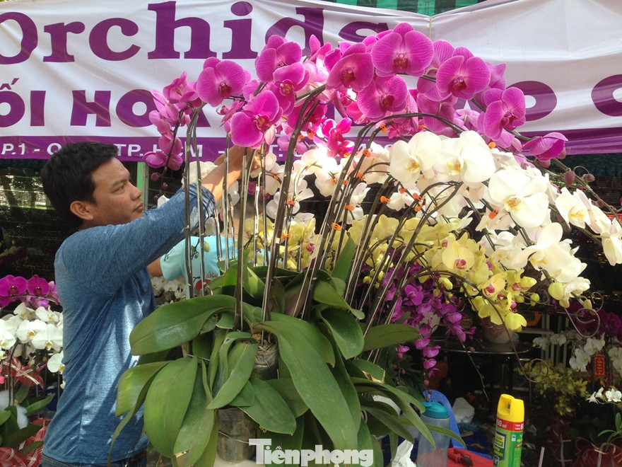 Lan chưng tết cháy hàng