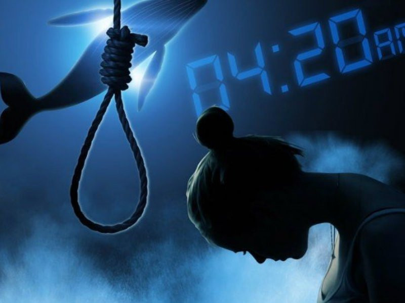 Thử thách Cá voi xanh nhằm đến đối tượng học sinh, thanh niên