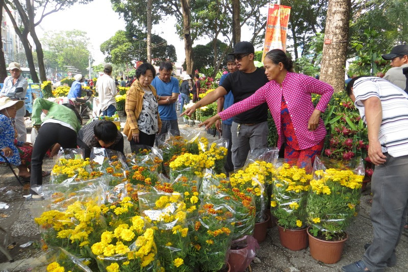 Hoa tết hạ giá sớm hút người mua