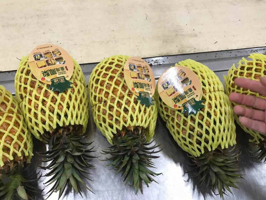 Dứa Đài Loan có giá không hề rẻ nhưng nhiều người vẫn mua