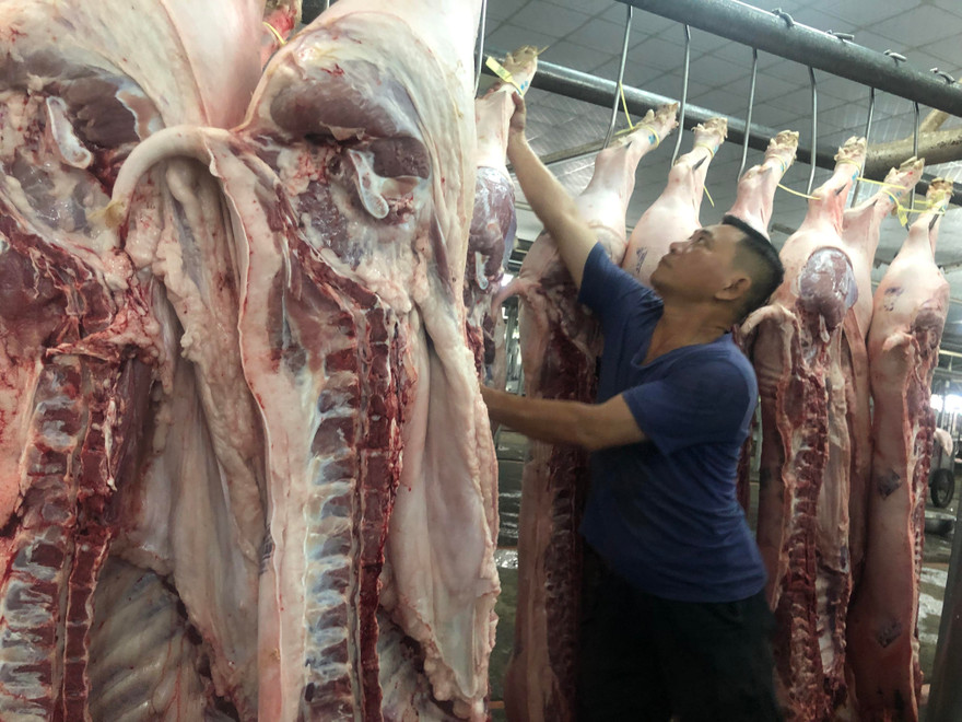 Heo về chợ dần ổn định, giá tăng nhanh