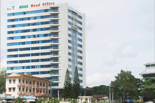 Cổ phiếu HAGL tiếp tục rơi vào diện cảnh báo