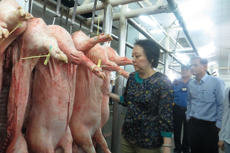 Bà Phong Lan kiểm tra heo đưa vê chợ đầu mối