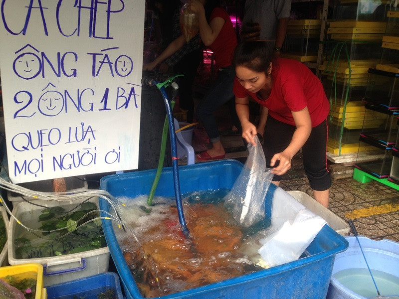 Cá chép bắt đầu sốt giá ngày ông Công ông Táo