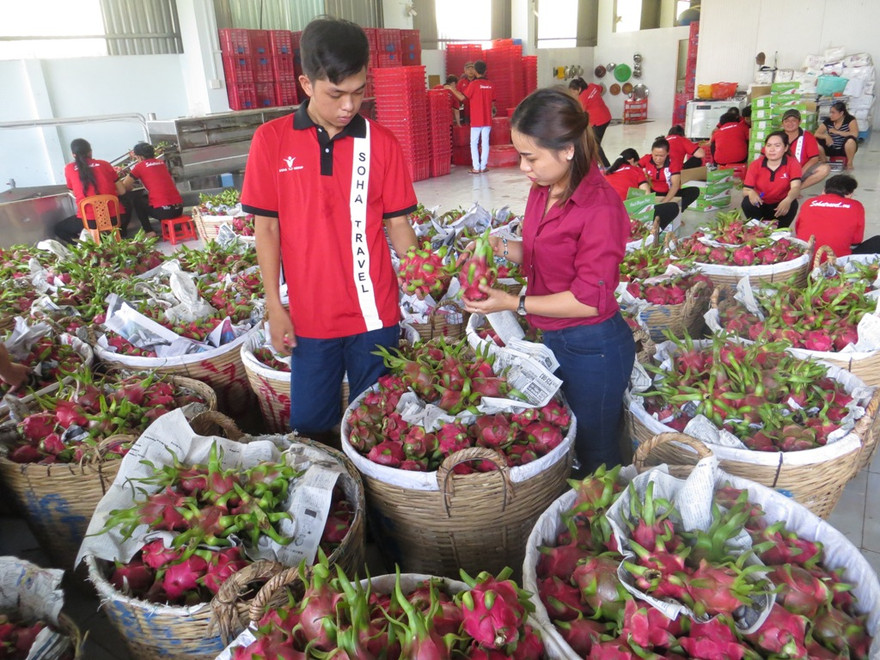 Thương chiến Mỹ - Trung không tạo ra nhiều cơ hội cho các ngành hàng xuất khẩu của Việt Nam