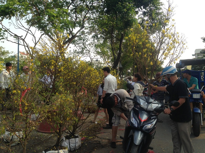 Hoa tết bán lưu động ngay dưới lòng đường